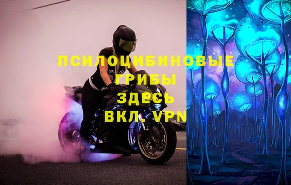 дистиллят марихуана Тайга