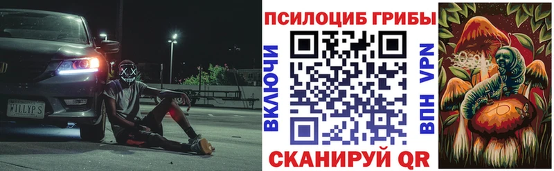 Галлюциногенные грибы Cubensis Пойковский